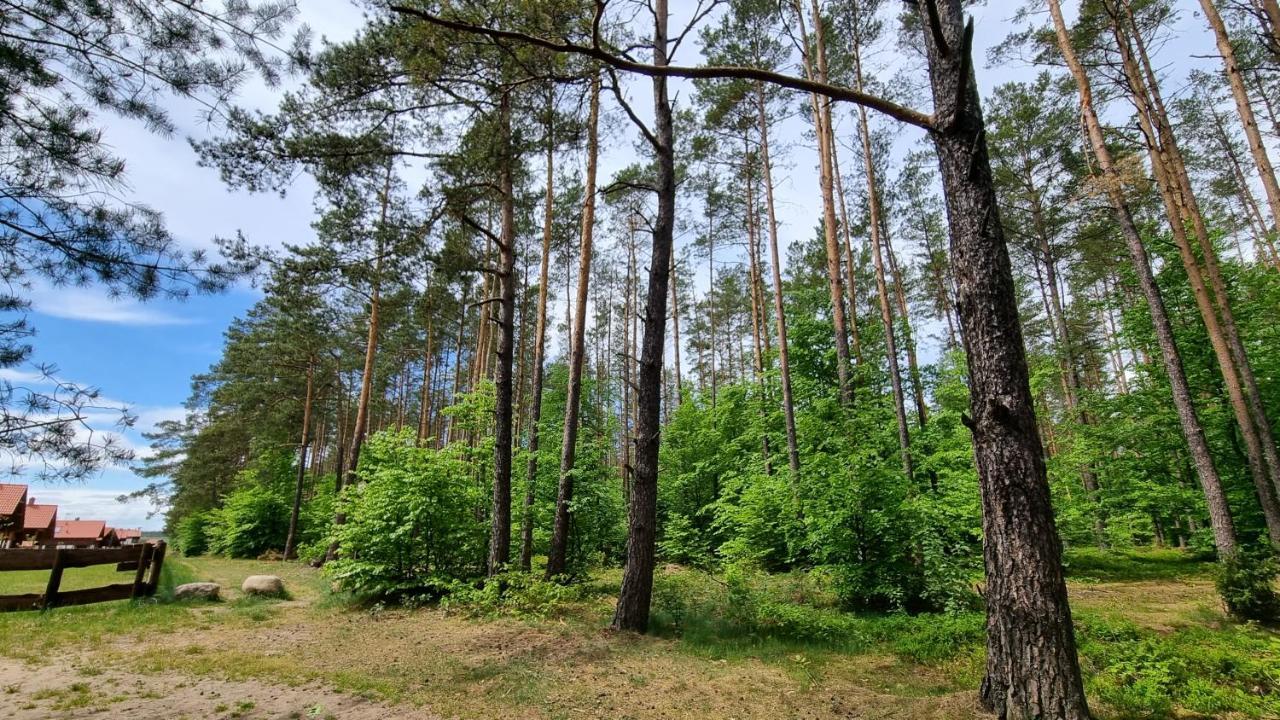Ptasie Radio, Domek 48.2 Ostoja Bukowo Borowy Mlyn Экстерьер фото