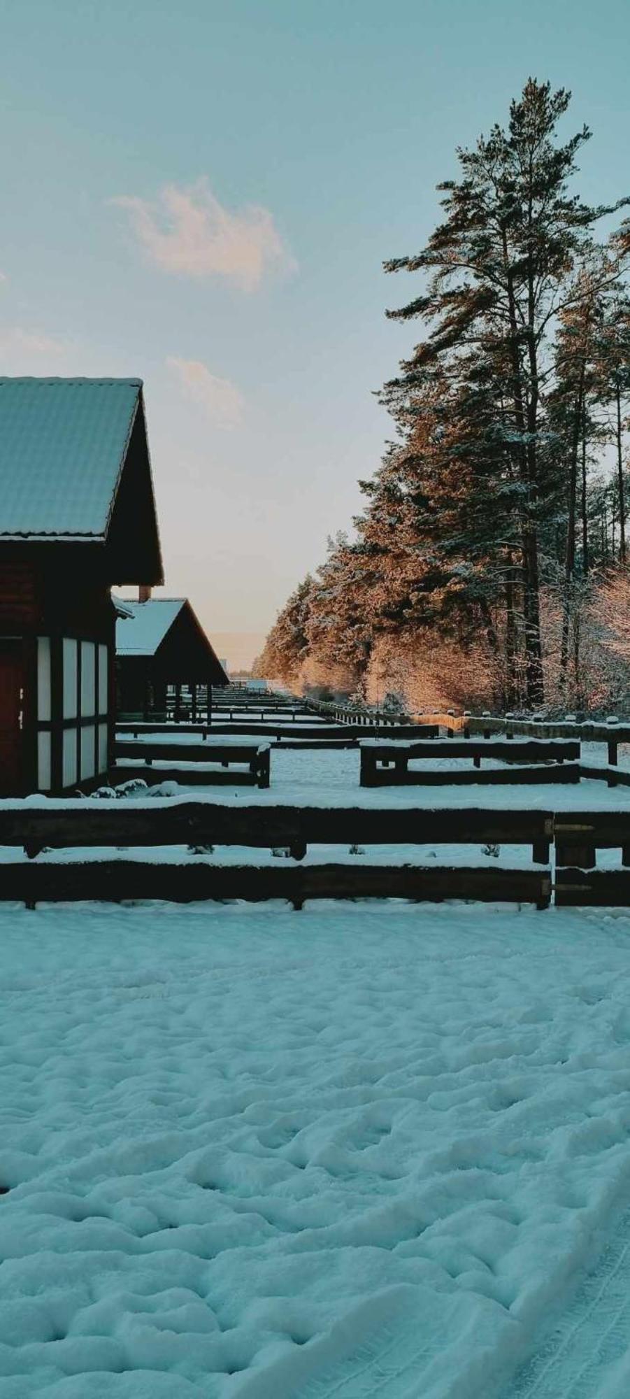 Ptasie Radio, Domek 48.2 Ostoja Bukowo Borowy Mlyn Экстерьер фото